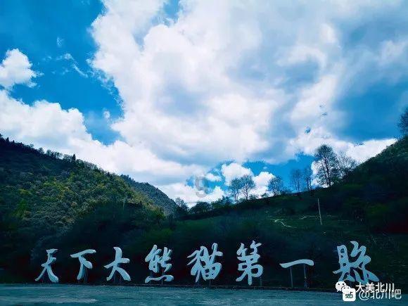 探索知识的蜗牛 - 婚后该不该把钱都放一起?问答平台